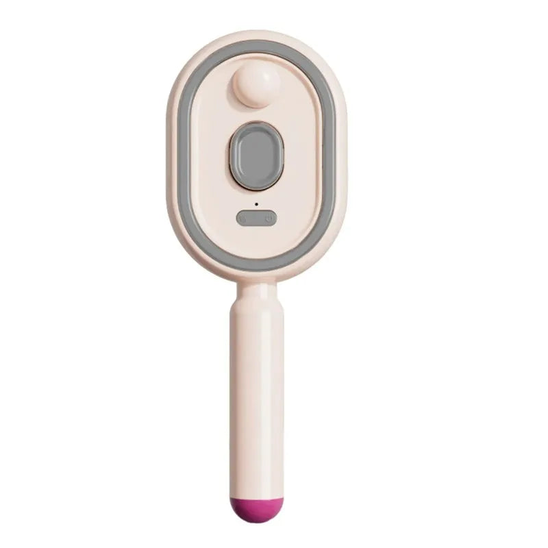 Electric Steam Hair Brush with USB-C Charging
