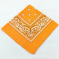 Unisex Polyester Paisley Bandana Hair Wrap