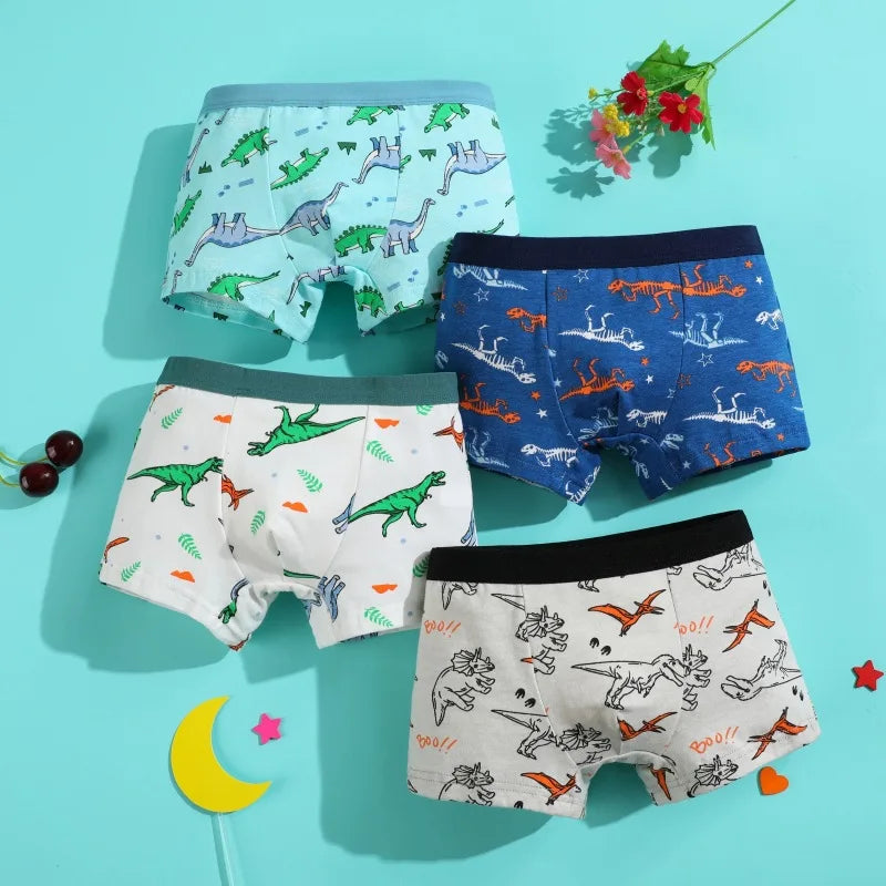 Boys Cotton Boxer Briefs with Dinosaur Print