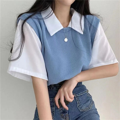 Korean Style Polo Collar Chiffon Blouse for Women