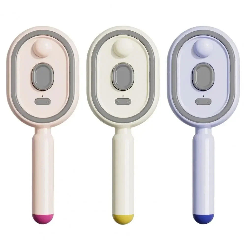 Electric Steam Hair Brush with USB-C Charging