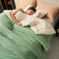 Plush Thick Winter Blanket Double Layer Milk Fleece