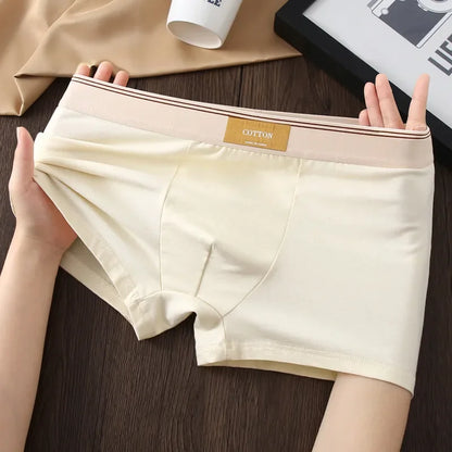 Men's Cotton Boxer Shorts 3Pcs Solid Color Set