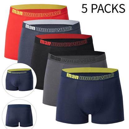 Men's Printed Fashion Boyshorts Plus Size Swim Trunks