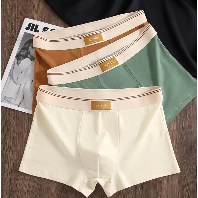 Men's Cotton Boxer Shorts 3Pcs Solid Color Set