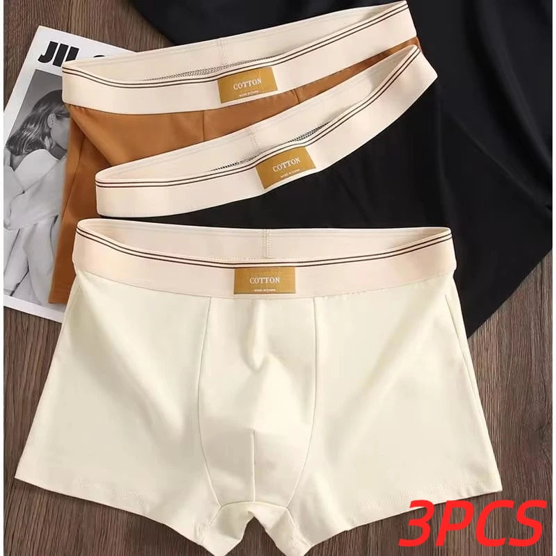 Men's Cotton Boxer Shorts 3Pcs Solid Color Set