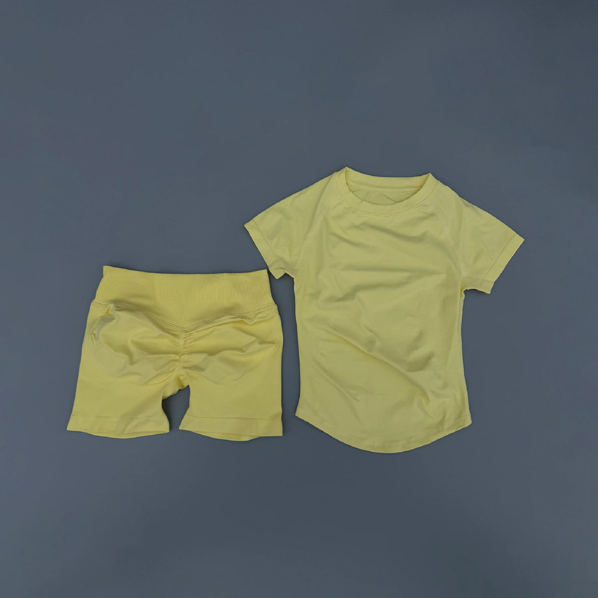 Seamless Yoga Top and Shorts Set for Women