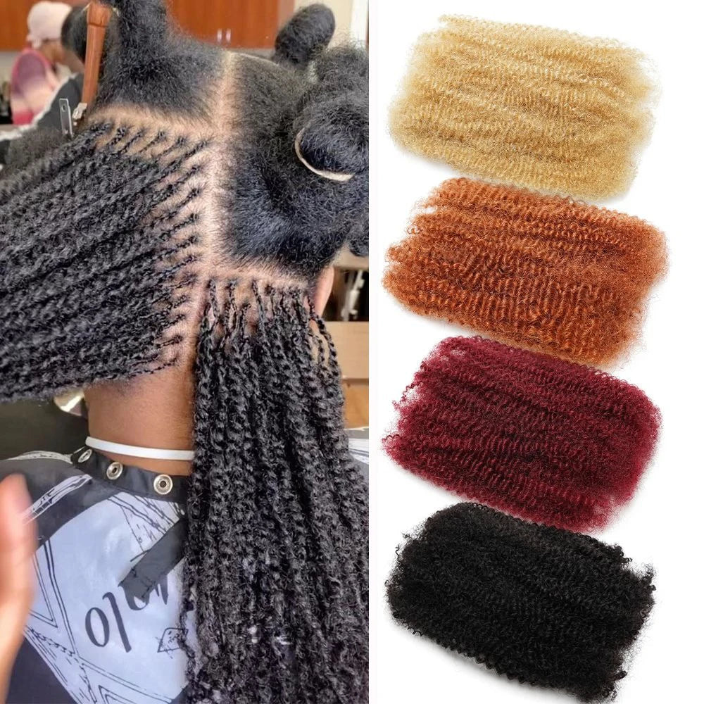 Afro Kinky Human Hair for Dreadlock Extensions