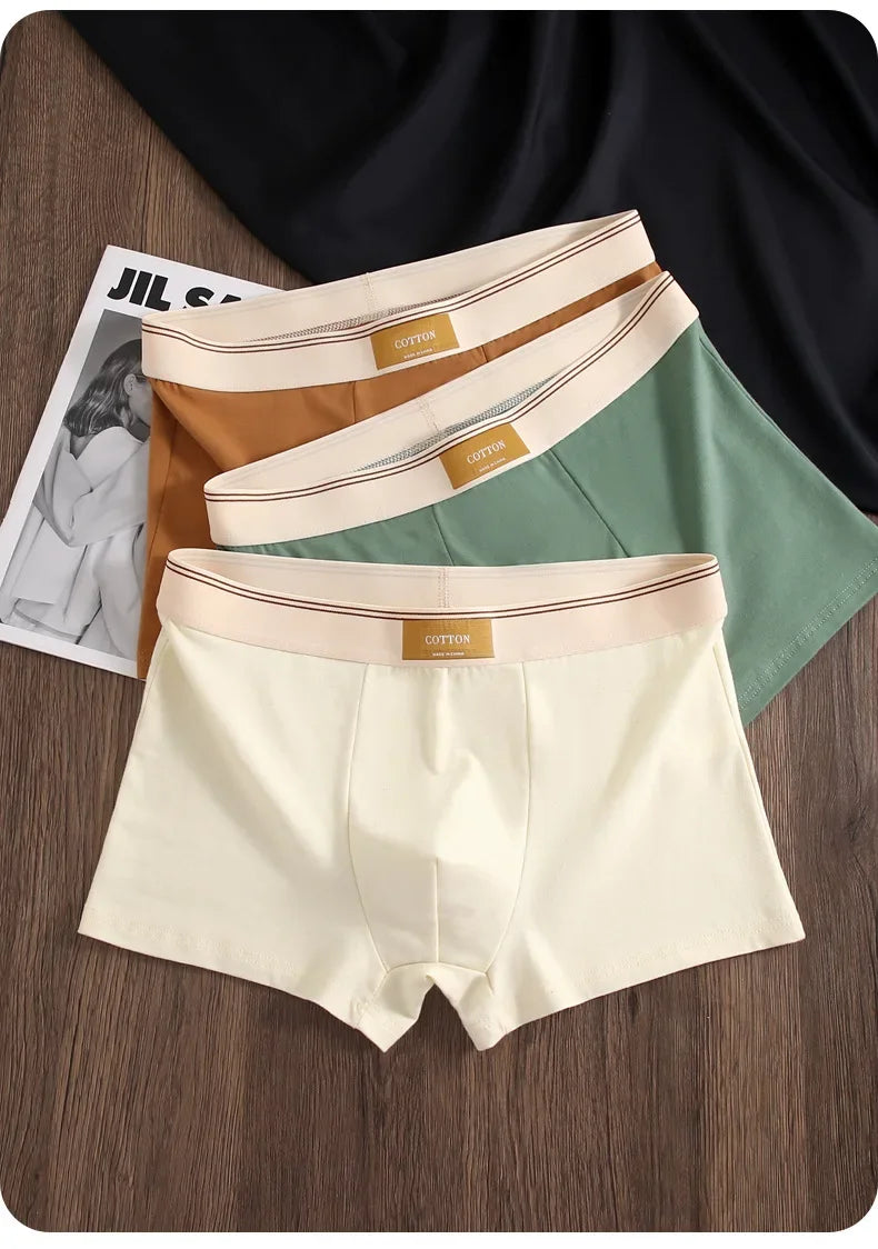 Men's Cotton Boxer Shorts 3Pcs Solid Color Set