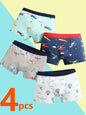 Boys Cotton Boxer Briefs with Dinosaur Print