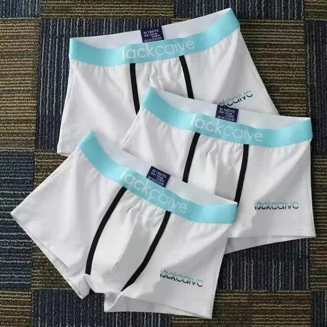 Cotton Boxer Shorts for Men 3Pcs Breathable Underwear