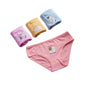 Girls Cartoon Cotton Underwear Briefs Size 2T-10T