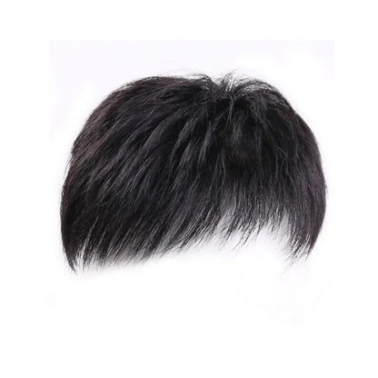 Men's Short Hair Synthetic Fiber Wig for Daily Use