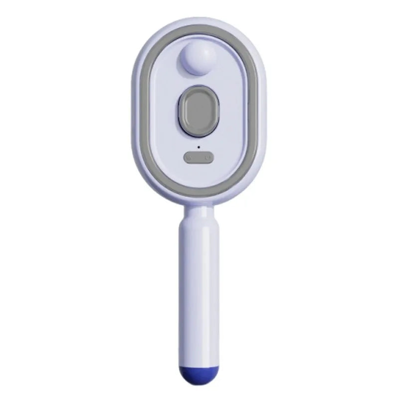 Electric Steam Hair Brush with USB-C Charging
