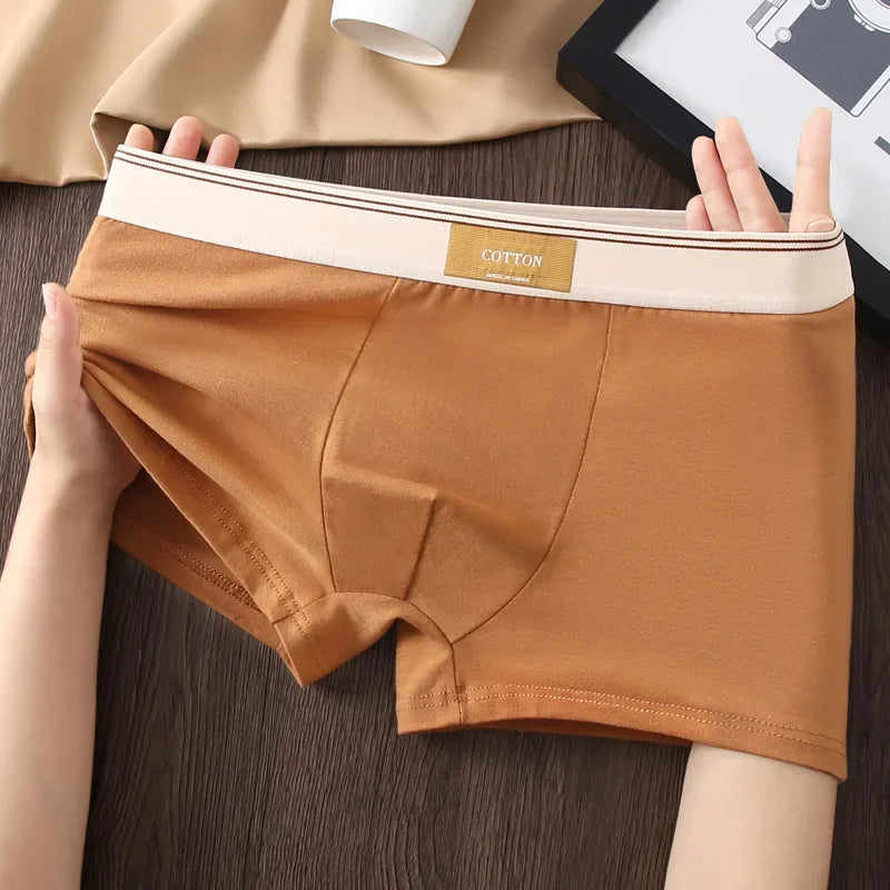 Men's Cotton Boxer Shorts 3Pcs Solid Color Set