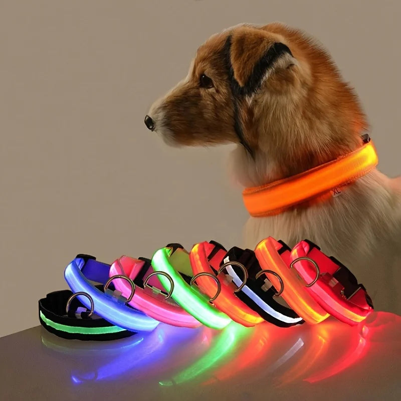 LED Reflective Dog Leash