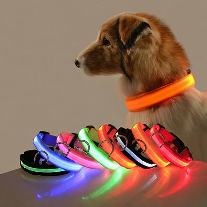 LED Reflective Dog Leash
