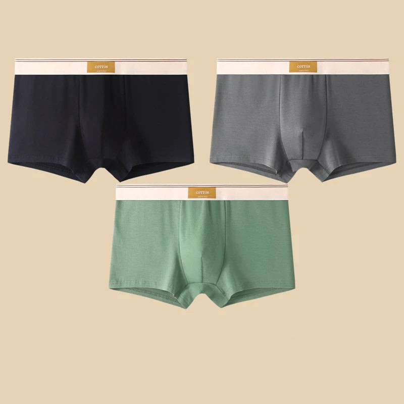 Men's Cotton Boxer Shorts 3Pcs Solid Color Set