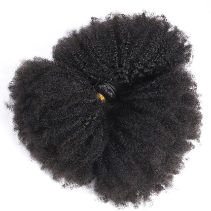 ELISHEVA Indian Human Hair Weave Bundles Kinky Curly Jet Black