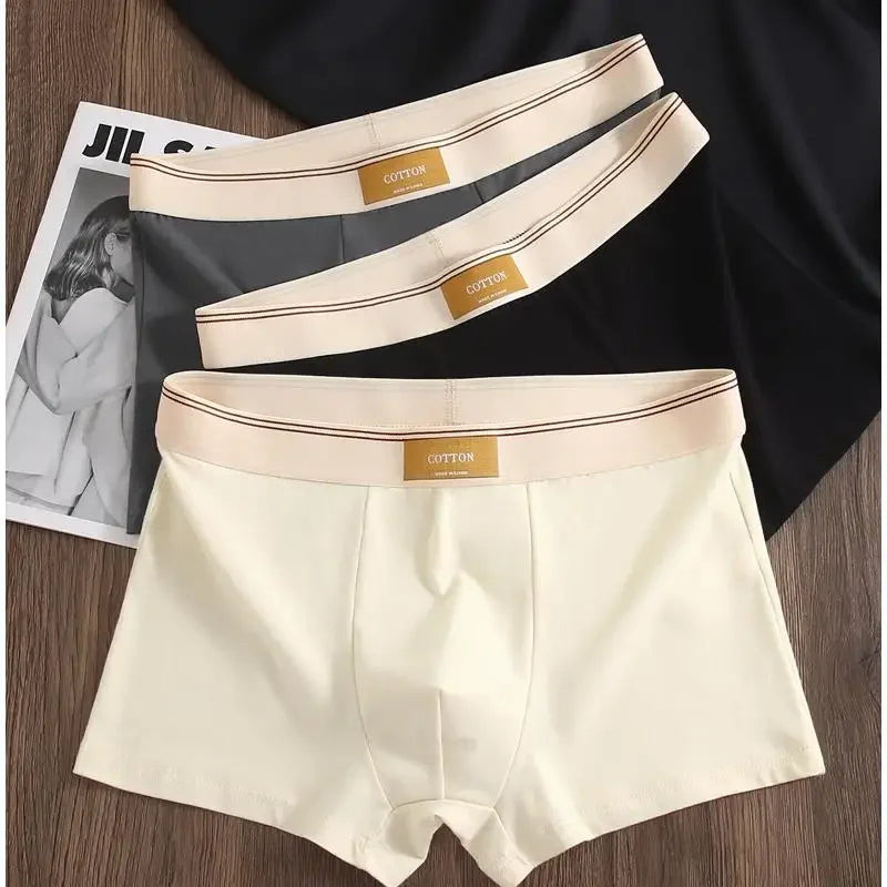 Men's Cotton Boxer Shorts 3Pcs Solid Color Set