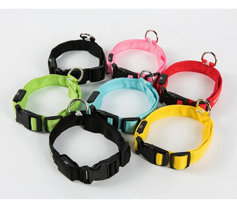 LED Reflective Dog Leash