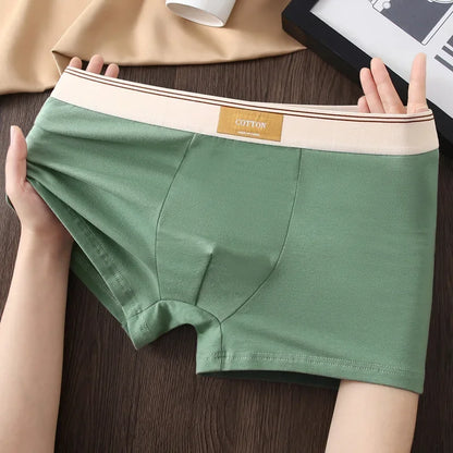 Men's Cotton Boxer Shorts 3Pcs Solid Color Set