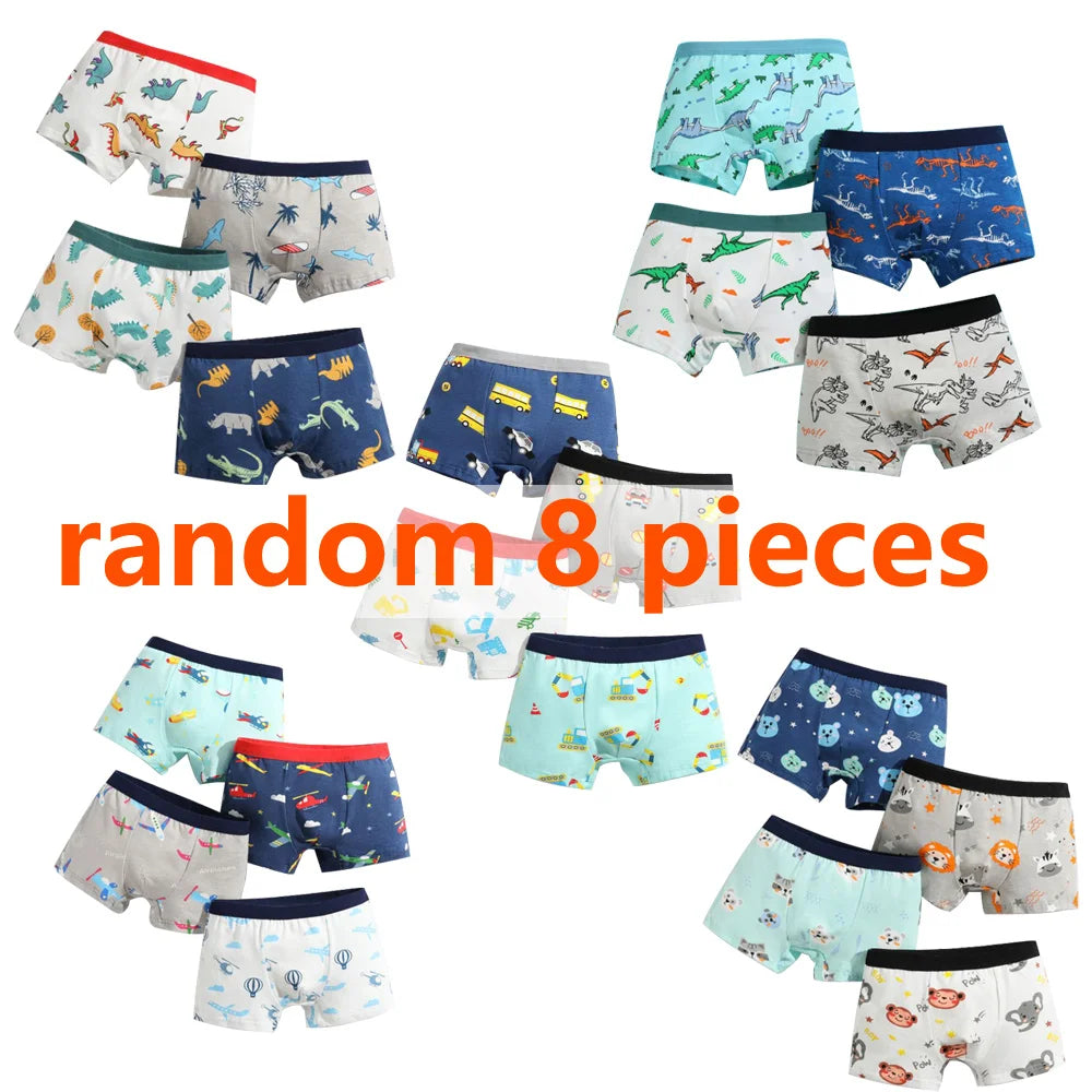 Boys Cotton Boxer Briefs Dinosaur Print Underwear
