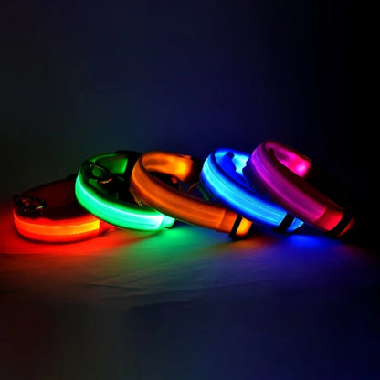 LED Reflective Dog Leash
