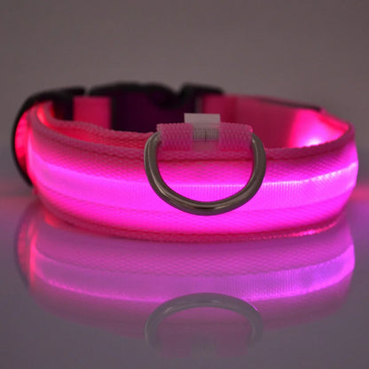LED Reflective Dog Leash