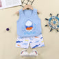 Cotton Summer Kids Clothing Set T-Shirt and Shorts