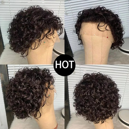 Pixie Cut Curly Human Hair Wig 13x1 Lace Frontal