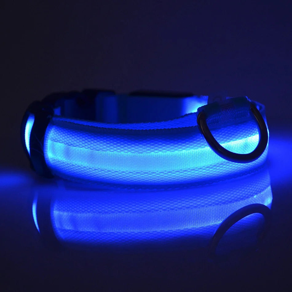 LED Reflective Dog Leash