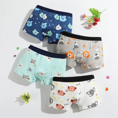 Boys Cotton Boxer Briefs with Dinosaur Print