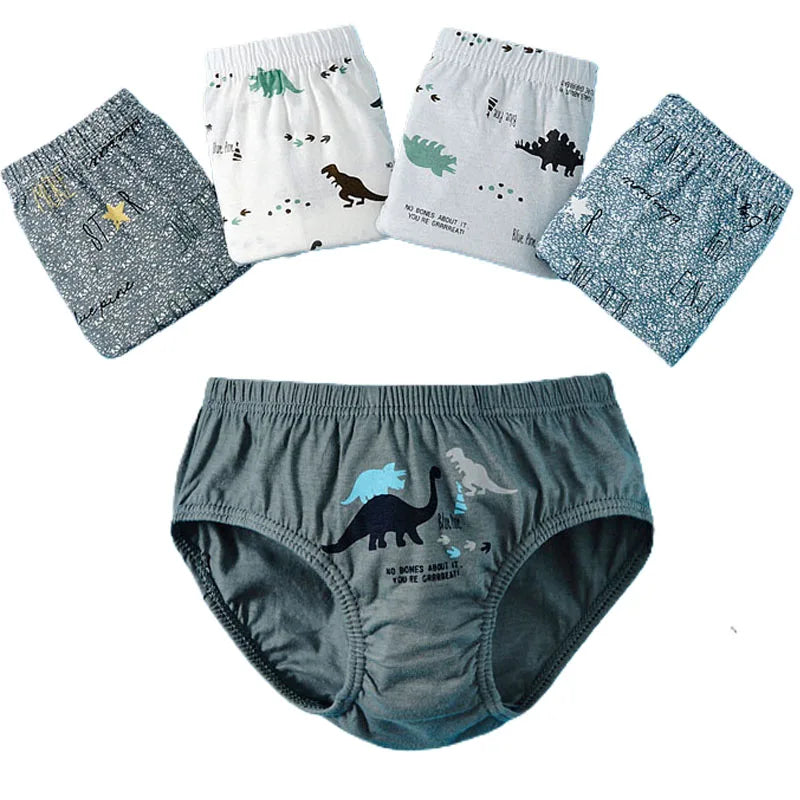 Cotton Dinosaur Cartoon Boys Briefs 3 Pcs Set