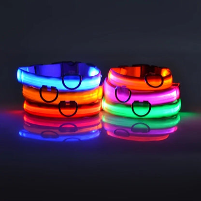 LED Reflective Dog Leash