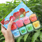 Moisturizing Lip Balm Set Natural Plant Based Skin Care