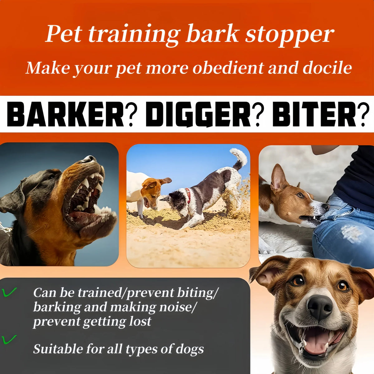 Rechargeable Dog Training Collar with Remote