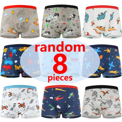 Boys Cotton Boxer Briefs with Dinosaur Print