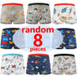 Boys Cotton Boxer Briefs with Dinosaur Print