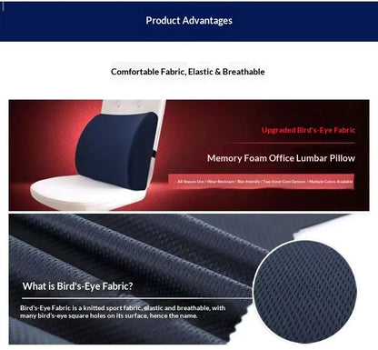 Memory Foam Lumbar Cushion for Office and Car Support