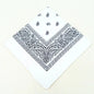 Unisex Polyester Paisley Bandana Hair Wrap