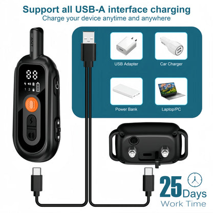 Rechargeable Dog Training Collar with Remote