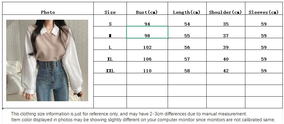 Korean Style Polo Collar Chiffon Blouse for Women