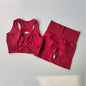 Women's Seamless Yoga Set Sport Bra and High Waist Shorts