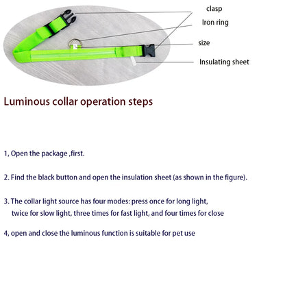 LED Reflective Dog Leash