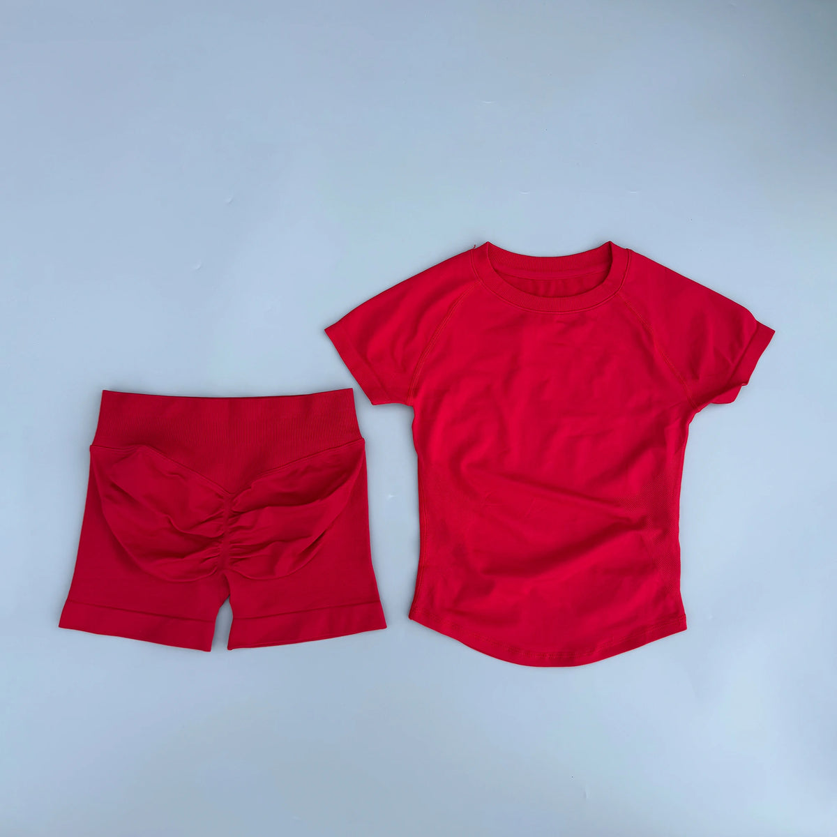 Seamless Yoga Top and Shorts Set for Women