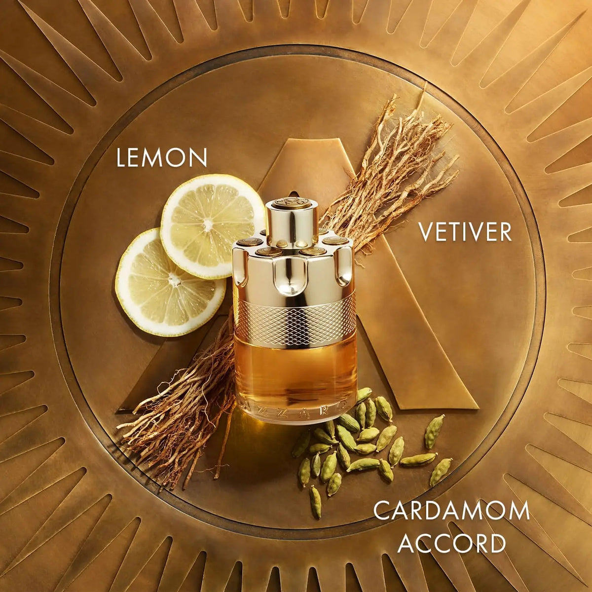 Azzaro Wanted Eau De Toilette Woody Vetiver Cologne