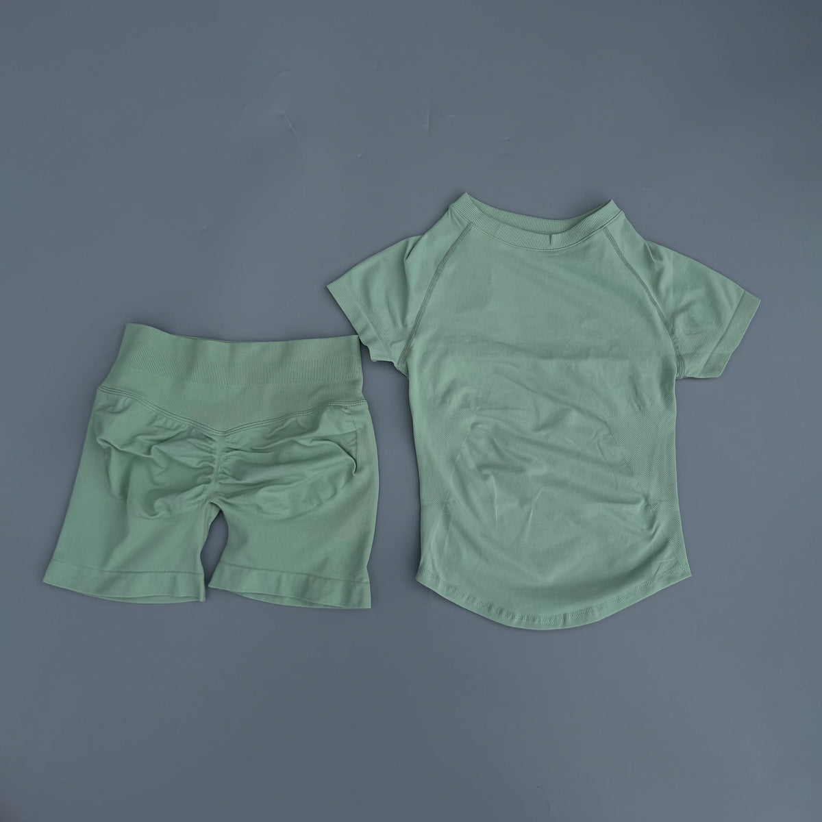 Seamless Yoga Top and Shorts Set for Women