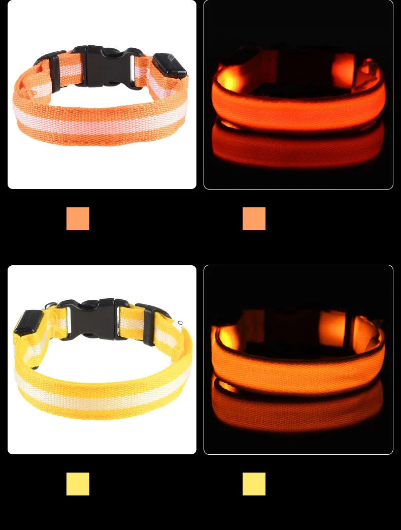 LED Reflective Dog Leash