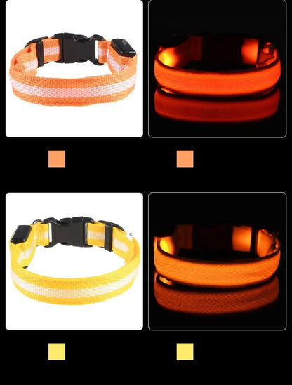 LED Reflective Dog Leash